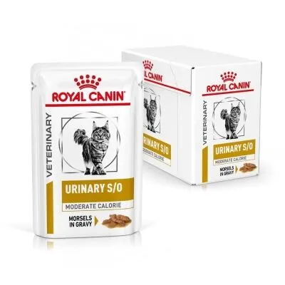 Royal Canin Urinary S/O Moderate Calorie in Salsa 12x85g – Alimento Dietetico Completo per Gatti con Patologie delle Vie Urinarie e Tendenza al Sovrappeso