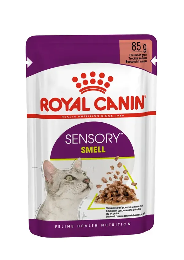Royal Canin Sensory Smell in Salsa – Alimento Umido Completo per Gatti Adulti che Stimola l'Olfatto
