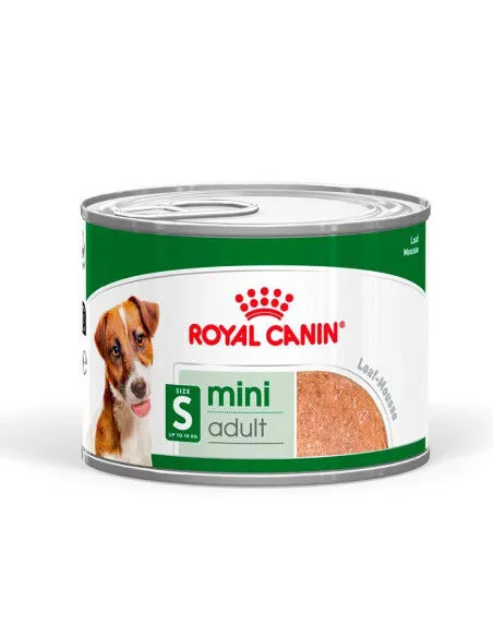 Royal Canin Mini Adult Paté per Cani Adulti di Taglia Piccola 195 g – Alimento Umido Completo