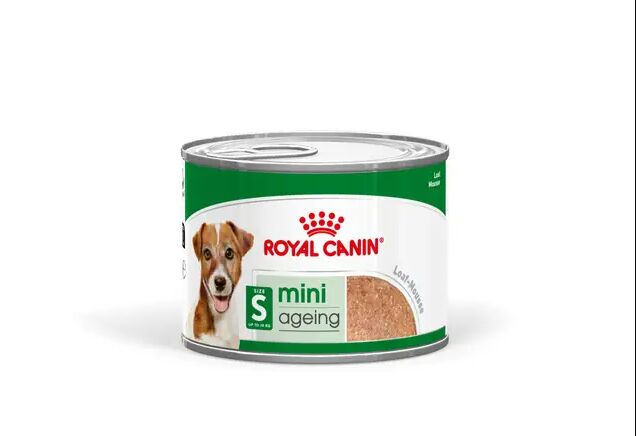 Royal Canin Mini Ageing Paté per Cani Anziani di Taglia Piccola 195 g – Alimento Umido Completo