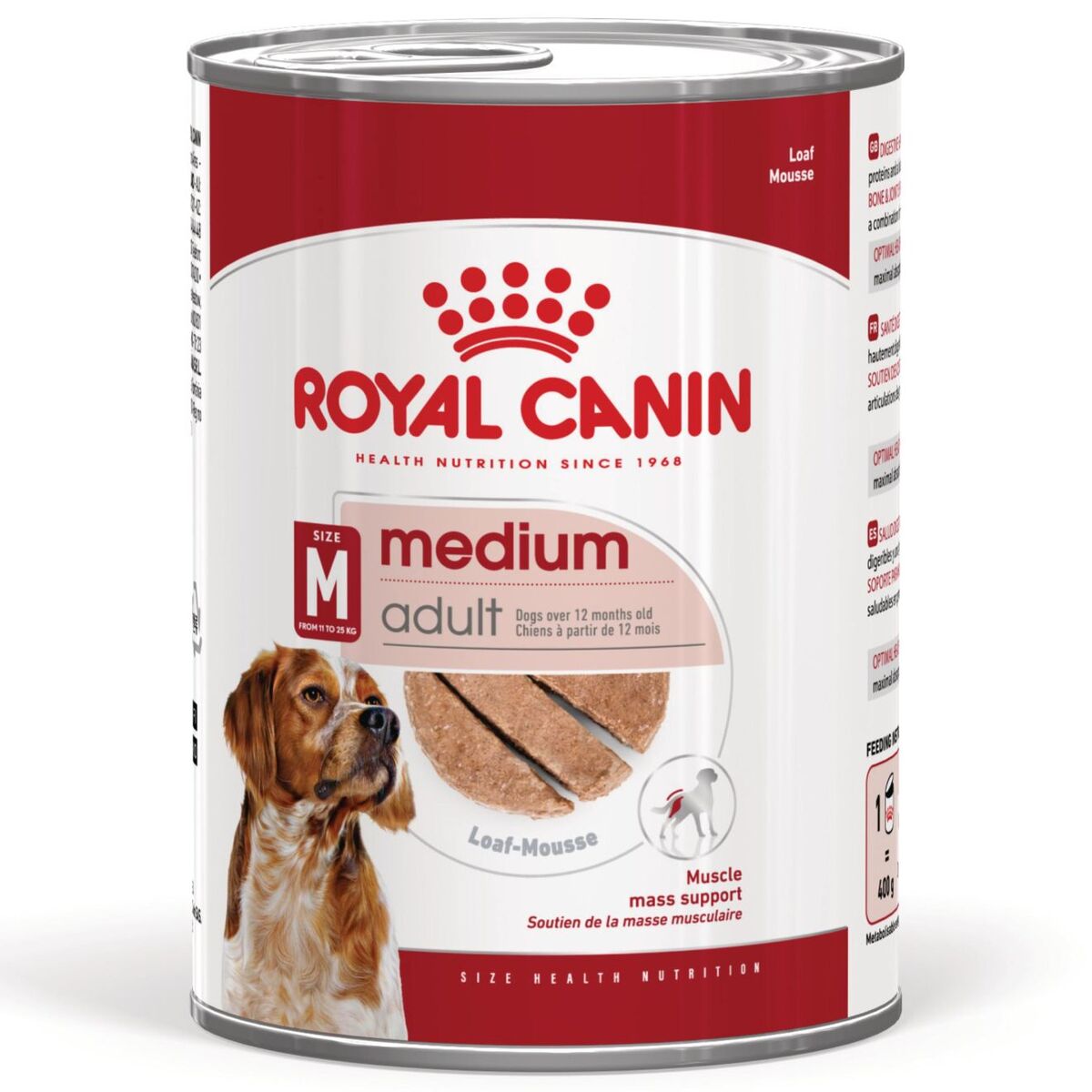 Royal Canin Medium Adult 410g – Alimento Umido per Cani Adulti di Taglia Media