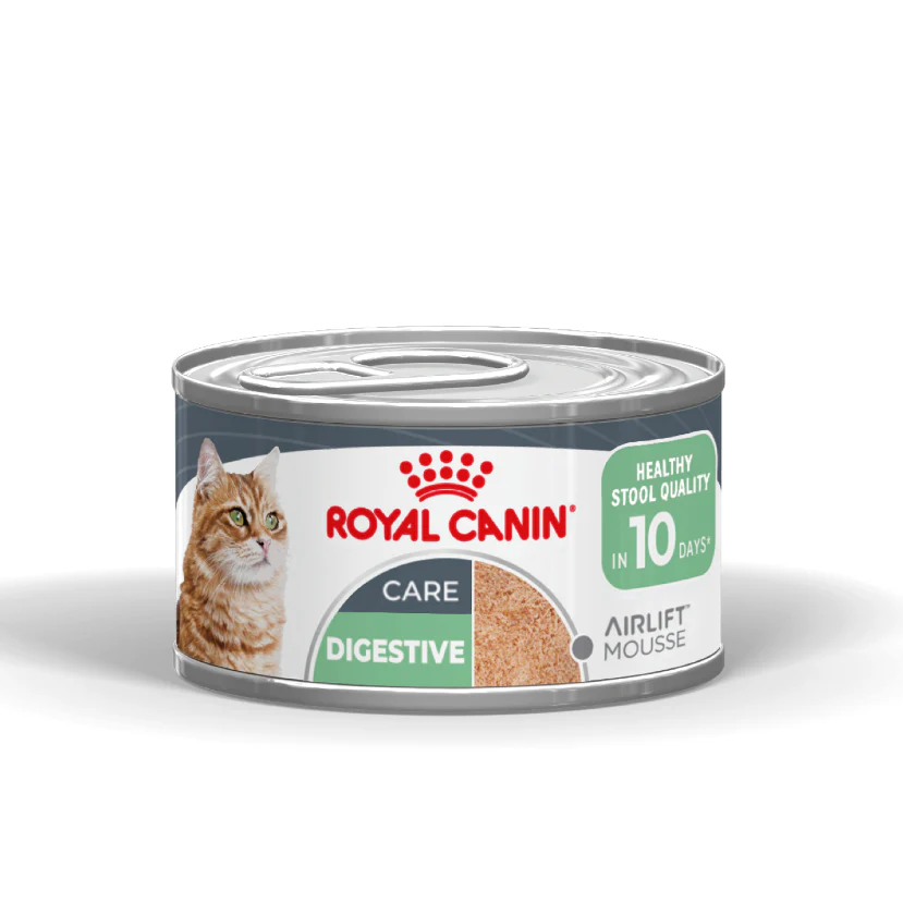 Royal Canin Digestive Care Airlift Mousse 85g – Alimento Umido per Gatti Adulti con Digestione Sensibile