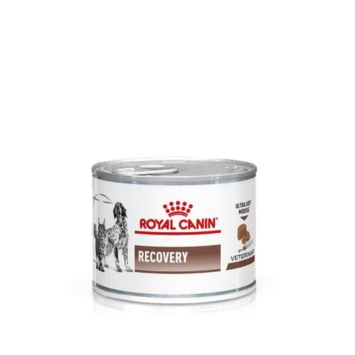 Royal Canin Recovery 195g – Alimento Umido Dietetico Completo per Cani e Gatti in Convalescenza