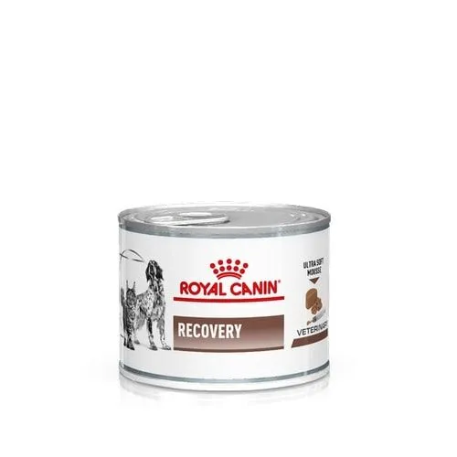 Royal Canin Recovery 195g – Alimento Umido Dietetico Completo per Cani e Gatti in Convalescenza