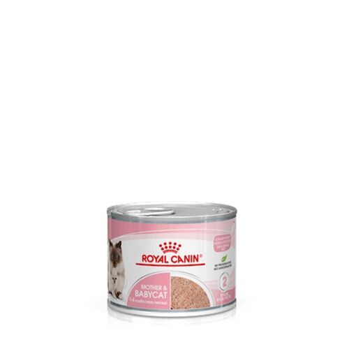 Royal Canin Mother & Babycat Instinctive Mousse 195g – Alimento Umido Completo per Gatte in Gestazione, Allattamento e Gattini fino a 4 Mesi