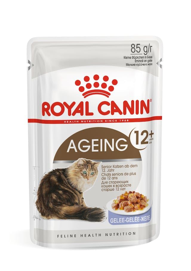 Royal Canin Ageing 12+ in Gelatina 85g – Alimento Umido Completo per Gatti Senior oltre 12 Anni