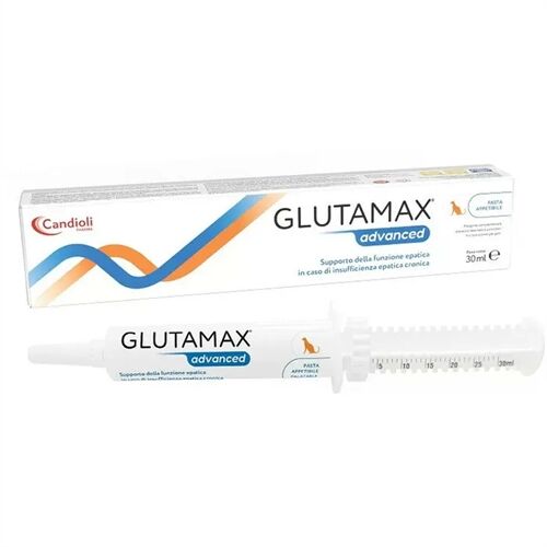 Glutamax Advanced Pasta Appetibile per Gatti