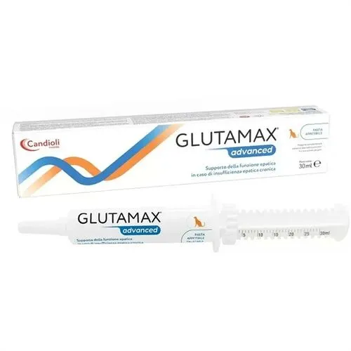 Glutamax Advanced Pasta Appetibile per Gatti