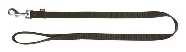 Guinzaglio Classic in Nylon per Cani