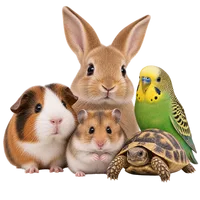 Piccoli Animali
