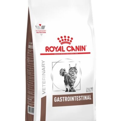 Royal Canin Gastro Intestinal 2Kg - Alimento Dietetico per Gatti