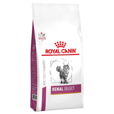 Royal Canin Renal Special 2Kg - Alimento Dietetico per Gatti con IRC