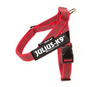 Julius K-9 IDC® Belt Rosso, Size Mini Mini