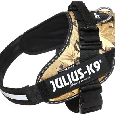 Julius K-9 IDC® Power Autunno, Size 4