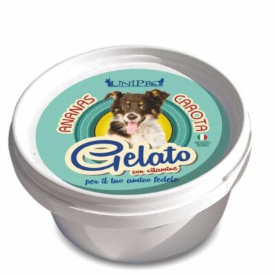 Unipro Gelato Ananas e Carote per Cani 60g