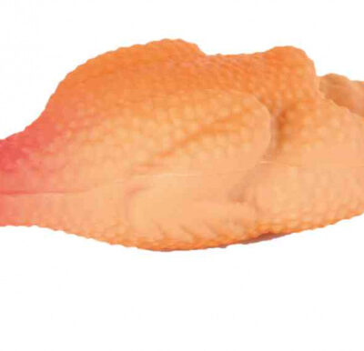 Pollo Latex 15cm per Cani