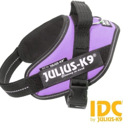 Julius K-9 IDC® Power Viola, Taglia 2