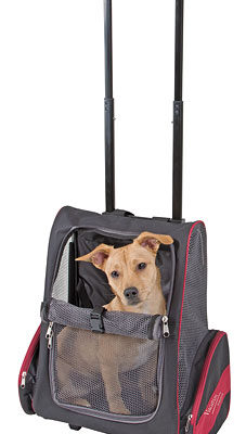 Trolley Vacation per Cani - Trasportino Multifunzione