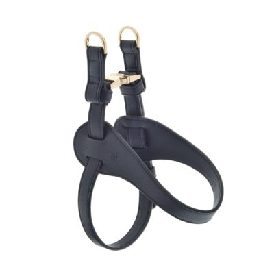 Pettorina Mokka Blu per Cani