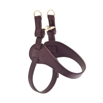 Pettorina Mokka Bordeaux per Cani