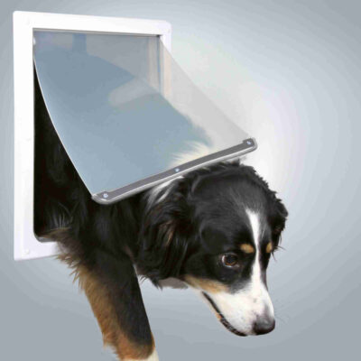 Porta a 2 Funzioni per Cani Taglia M/XL
