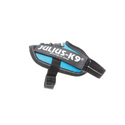 Julius K-9 IDC® Power Aquamarine, Taglia Baby 2