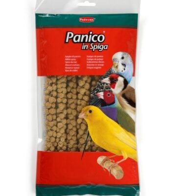 Padovan Panico in Spiga 250g - Alimento per Uccelli Granivori