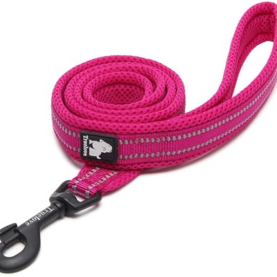Guinzaglio Imbottito Riflettente per Cani - Taglia M