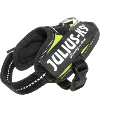 Julius K-9 IDC® Power Neon, Baby 1