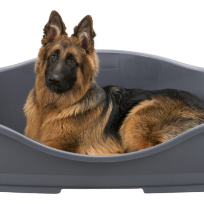 Siesta Sleeper Taglia 3 - Cuccia per Cani da Esterno