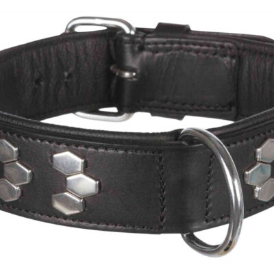 Collare Active Borchiato Nero - Taglia M