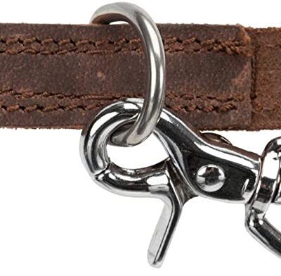 Guinzaglio Addestramento Rustico Marrone XS/S