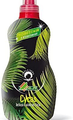 Concime Cycas 1Kg - Per una crescita rigogliosa