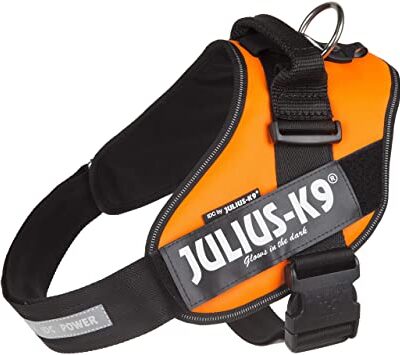 Julius K-9 IDC® Power Arancione, Taglia 2