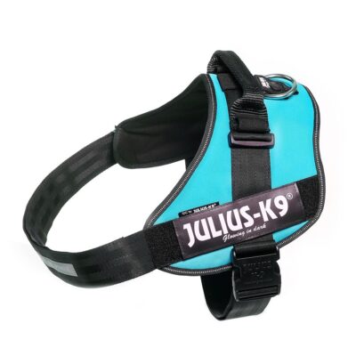 Julius K-9 IDC® Power Aquamarine, Taglia 1