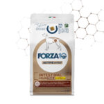 FORZA10 Intestinal Colon Fase II - Agnello e Sorgo Bianco - 10kg