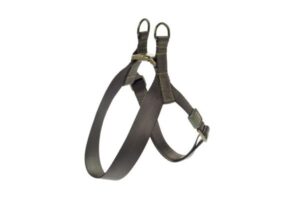 Ferribiella Pettorina ad Y Suprema Verde