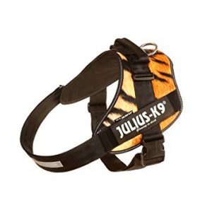 Julius k-9 idc® power tiger, size 1