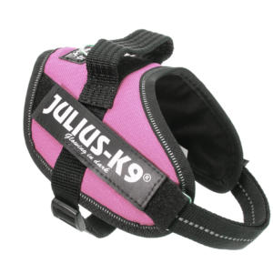 Julius k-9 idc® power rosa, size mini mini