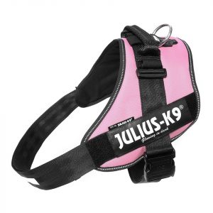 Julius k-9 idc® power rosa, size 2