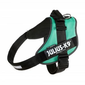 Julius k-9 idc® power verde scuro, size mini mini