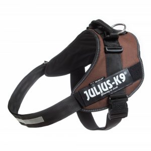 Julius k-9 idc® power cioccolato, size 2