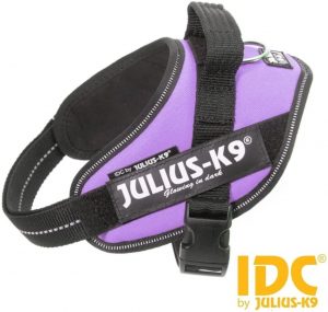 Julius k-9 idc® power viola, size 1