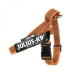 Julius k-9 idc® belt arancione, size mini