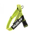 Julius k-9 idc® belt neon, size mini