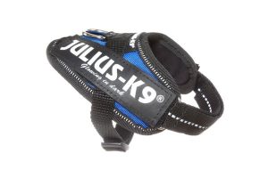 Julius k-9 idc® power blue, size baby 1