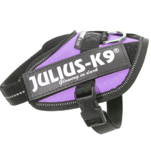 Julius k-9 idc® power viola, size baby 2