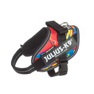 Julius k-9 idc® power psycho canis, size mini mini