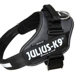 Julius k-9 idc® power grigia, size 1