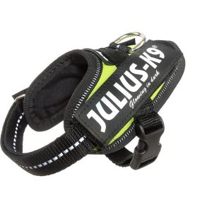 Julius k-9 idc® power neon, baby 1